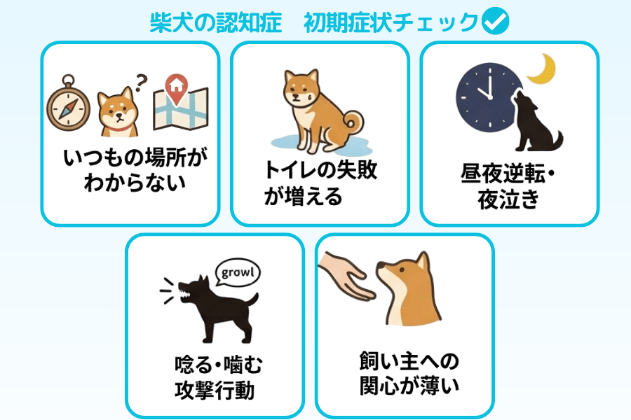 柴犬の認知症に多い初期症状をチェック