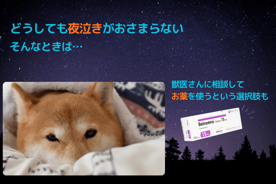 認知症で夜泣きがひどいときの選択肢