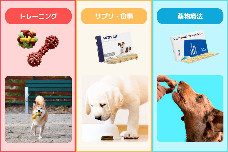 柴犬が認知症になったときの対処方法