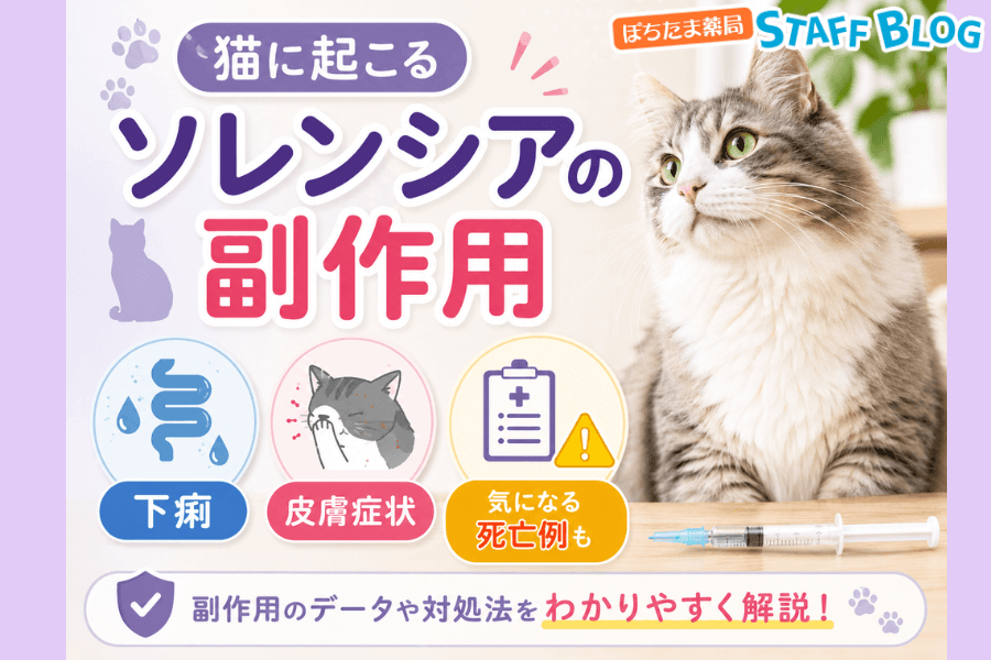 ソレンシアが猫にもたらす副作用とは|下痢や皮膚症状、気になる死亡例も