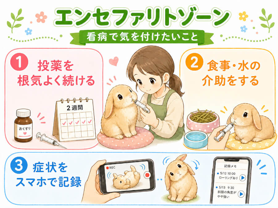 エンセファリトゾーンで飼い主さんができること