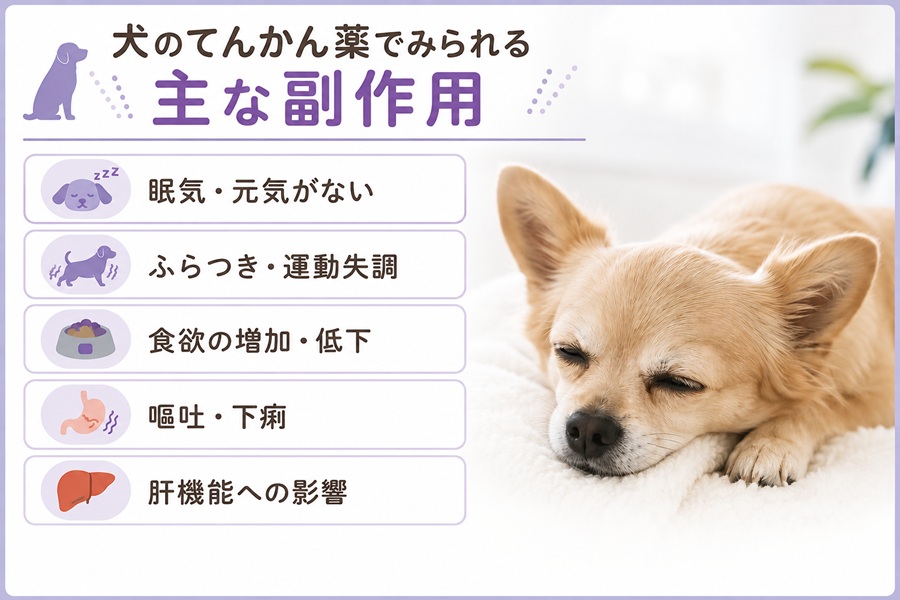 犬のてんかん薬でみられる主な副作用