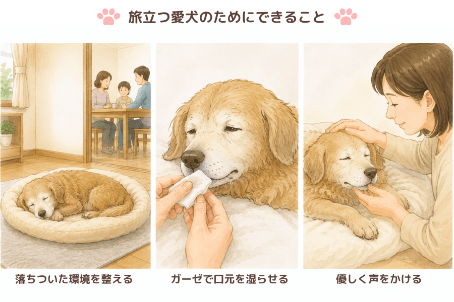 眠るように旅立つために飼い主ができること