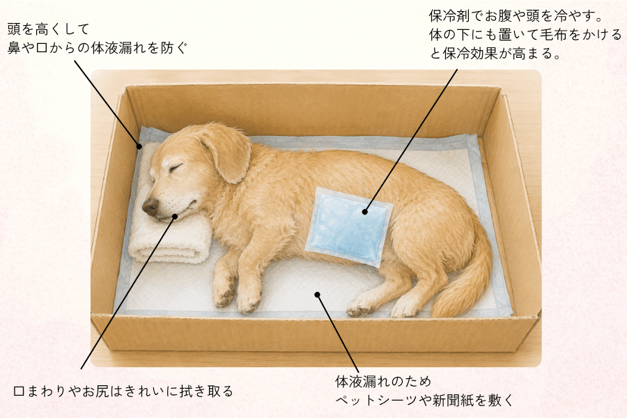 もしものときに慌てないための準備