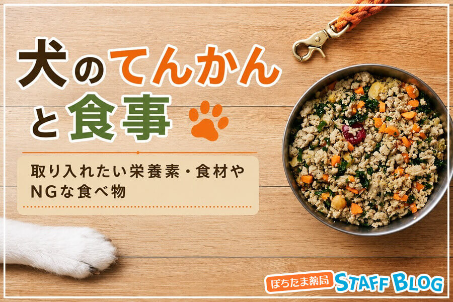犬のてんかんと食事|取り入れたい栄養素・食材やNGな食べ物