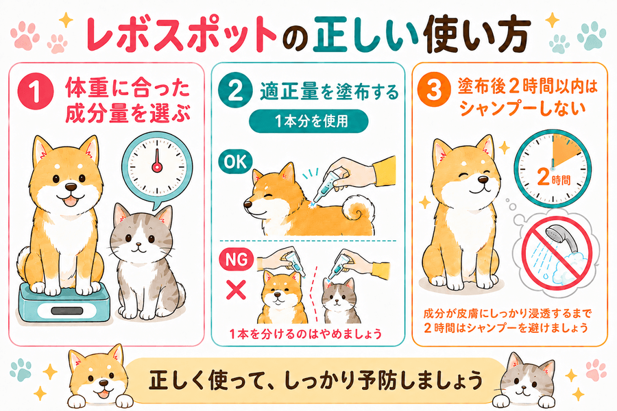 レボスポットの正しい使い方