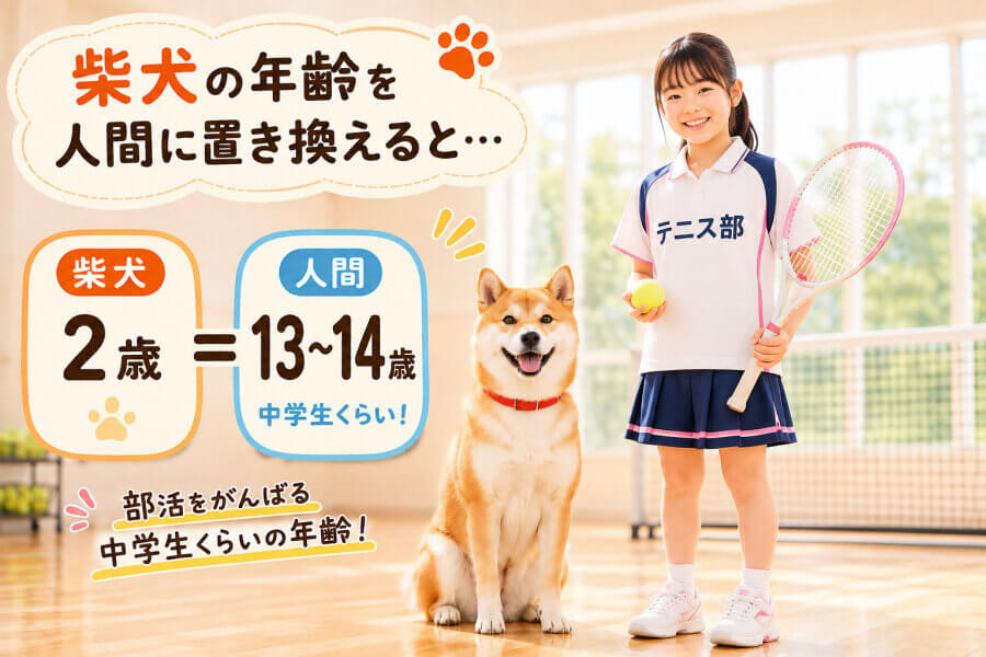 2歳は中学生くらい