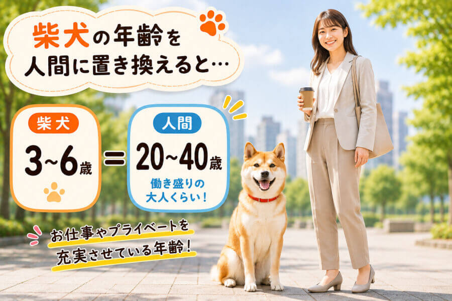 3・4・5・6歳は働き盛り