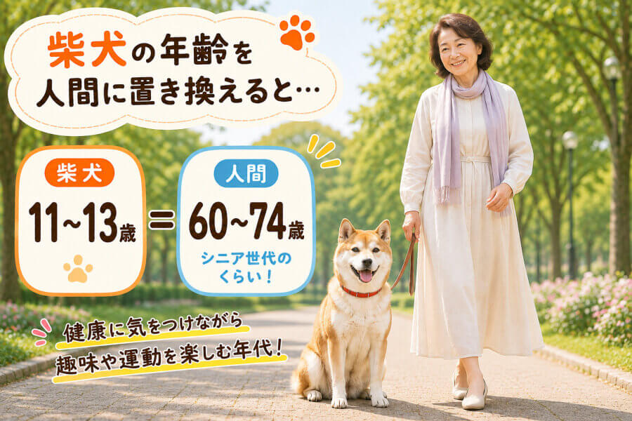 11・12・13歳はリタイア世代