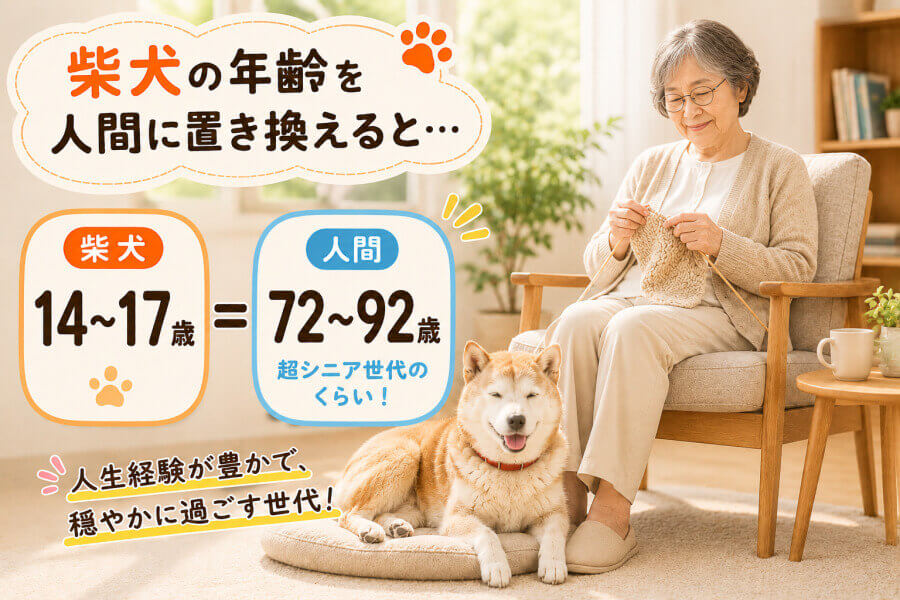 14・15・16・17歳は後期高齢者