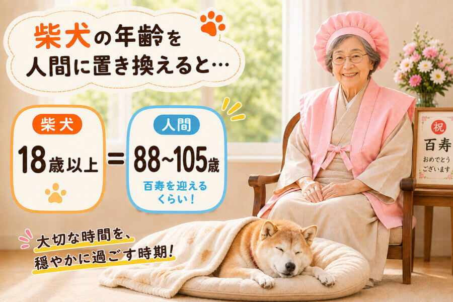 18・19・20歳はご長寿世代