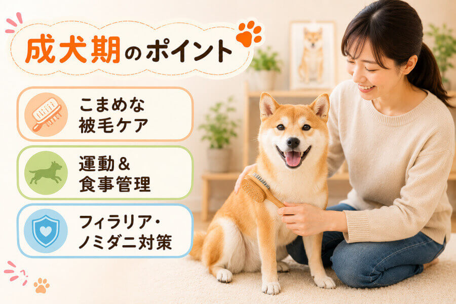 成犬期（1歳～6歳）