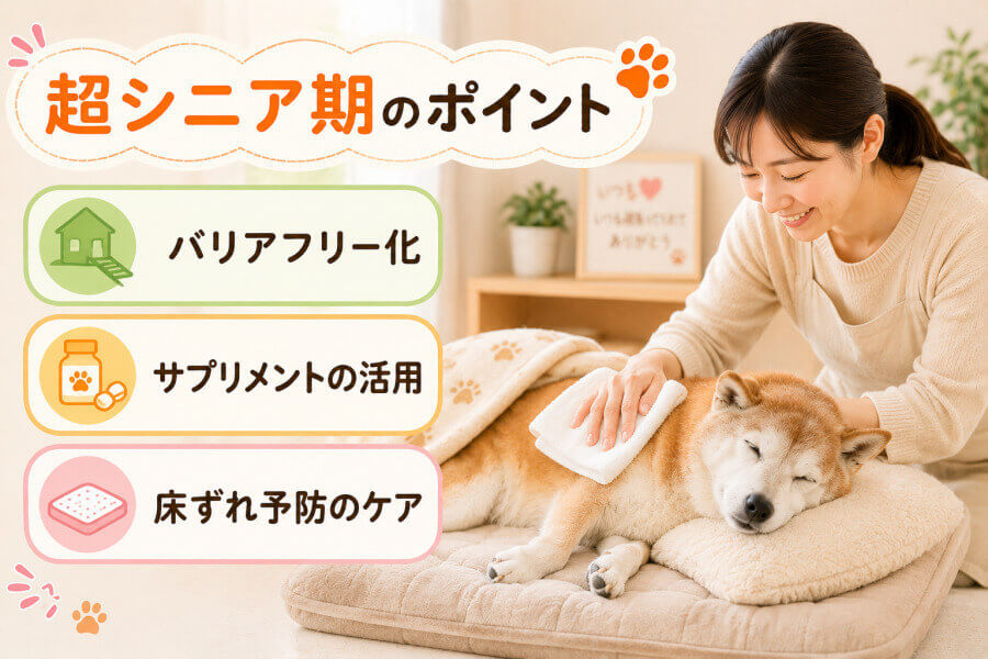 超シニア期（14歳以降）
