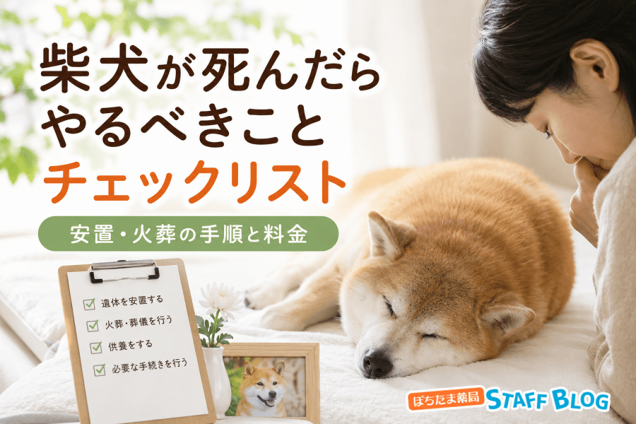 柴犬が死んだらやるべきこと『チェックリスト』安置・火葬の手順と料金