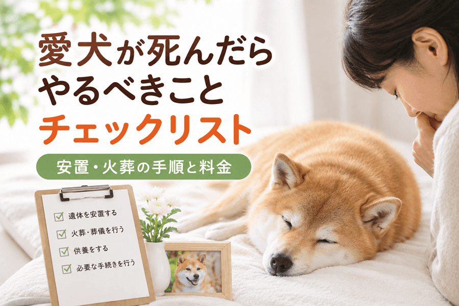 柴犬が死んだらやるべきこと『チェックリスト』安置・火葬の手順と料金