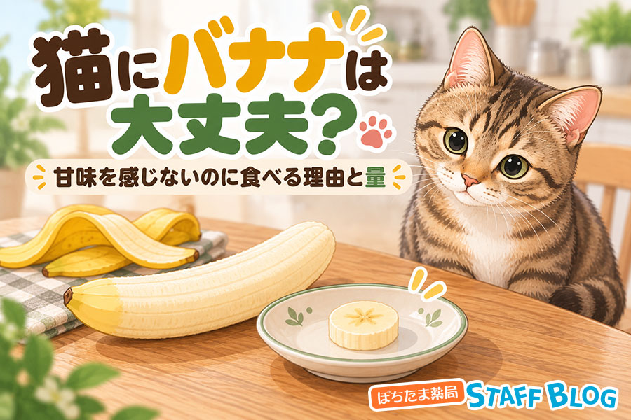 猫にバナナは大丈夫?甘味を感じないのに食べる理由と量