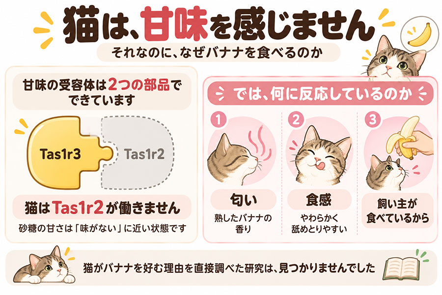 バナナはカリウムが360mgと果物の中で多い。腎臓病で療法食を食べている猫は主治医に確認