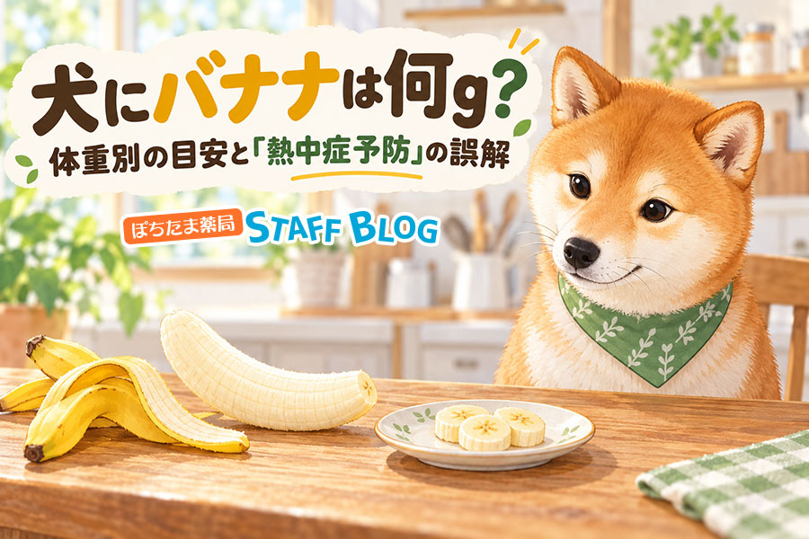 犬にバナナは何g？体重別の目安と「熱中症予防」の誤解