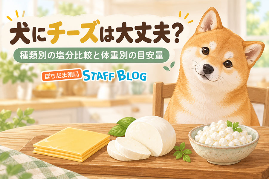 犬にチーズは種類で選ぶ。塩分が5倍違います