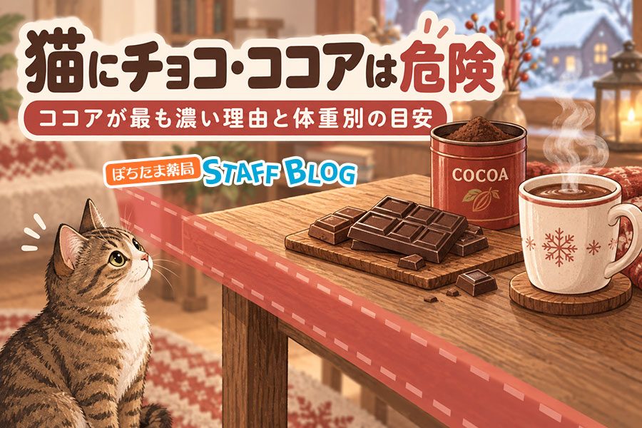 猫にココアは小さじ1杯で危険域。体重別の目安
