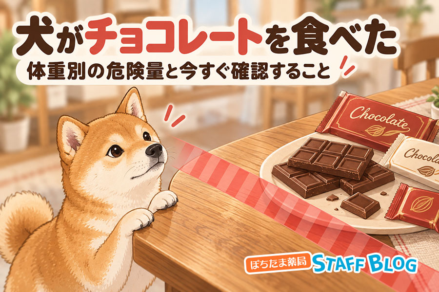 犬がチョコレートを食べた|体重別の危険量と今すぐ確認すること