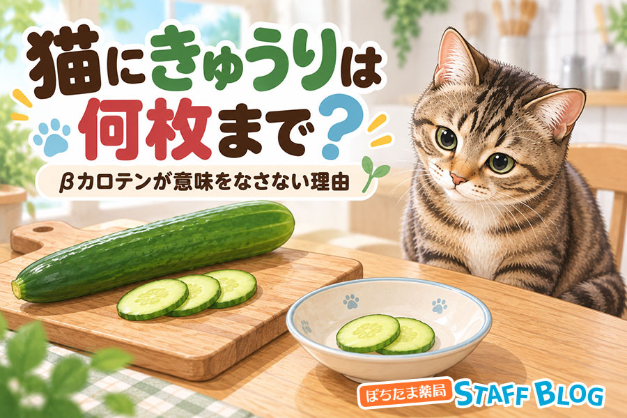 猫にきゅうりは何枚まで?βカロテンが意味をなさない理由