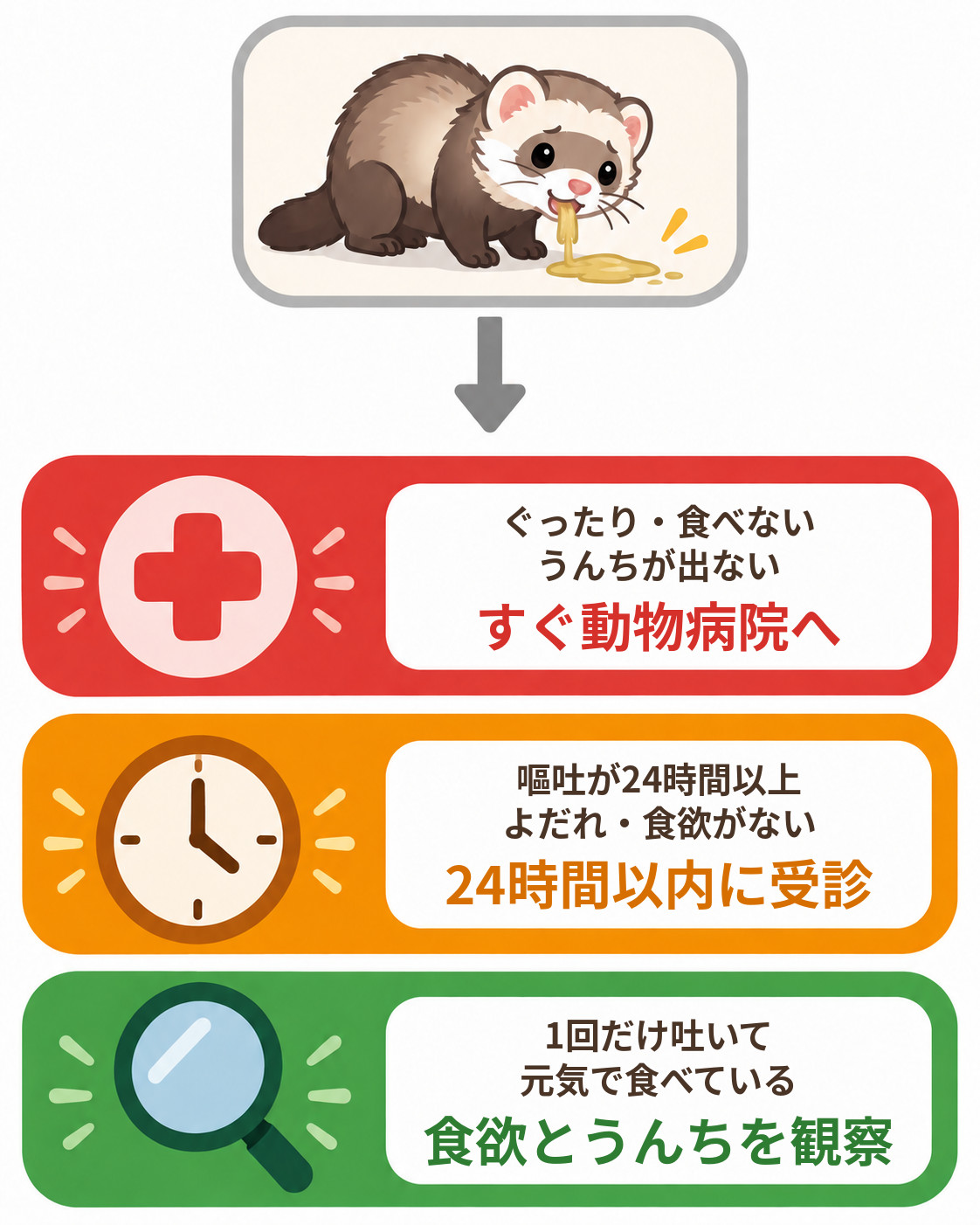 フェレットが吐いた後の受診目安を3段階で示したフローチャート