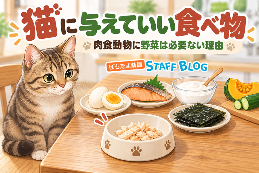 猫に与えていい食べ物|肉食動物に野菜は必要ない理由