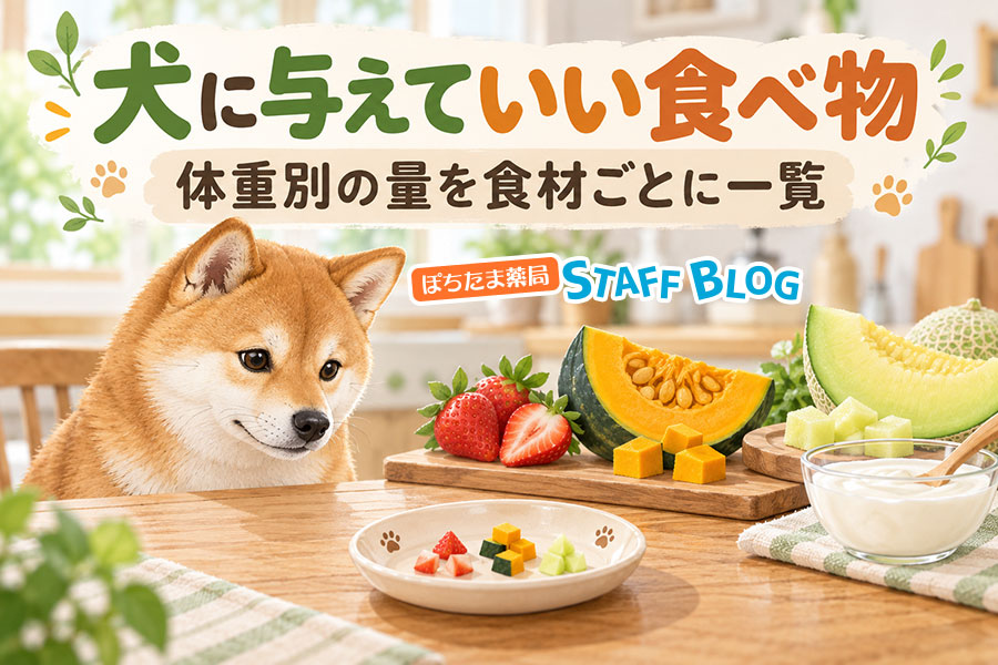 犬に与えていい食べ物|体重別の量を食材ごとに一覧