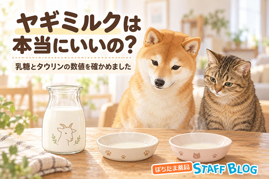 ヤギミルクは本当にいいの？乳糖とタウリンの数値を確かめました