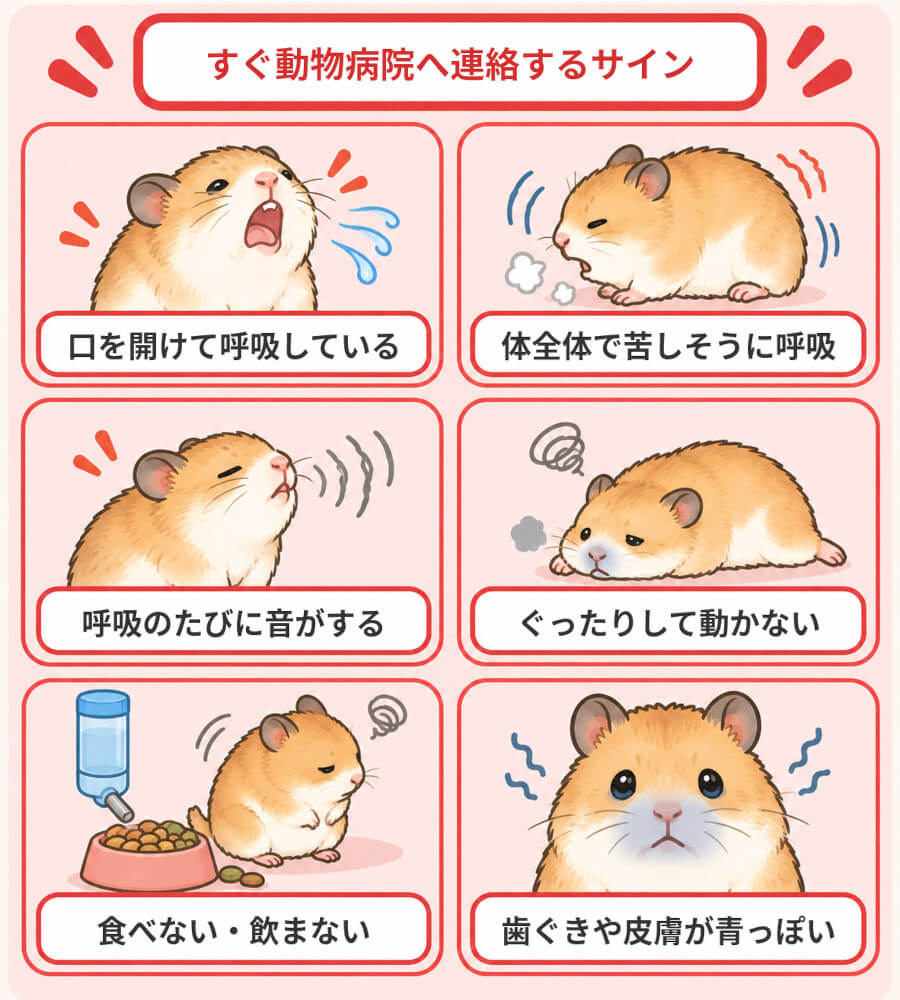 ハムスターのくしゃみ・鼻水ですぐ動物病院へ行くべき6つのサイン