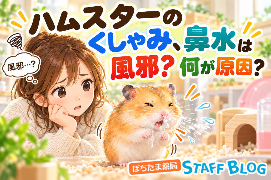 ハムスターのくしゃみ・鼻水は風邪？様子見OKと受診の目安