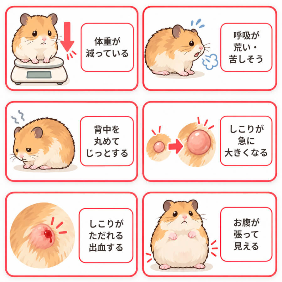 ハムスターの腫瘍で早めの受診を検討したい6つのサイン
