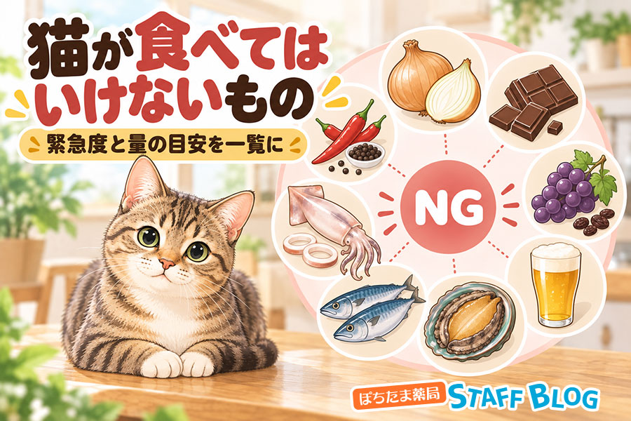 猫が食べてはいけないもの｜緊急度と量の目安を一覧に