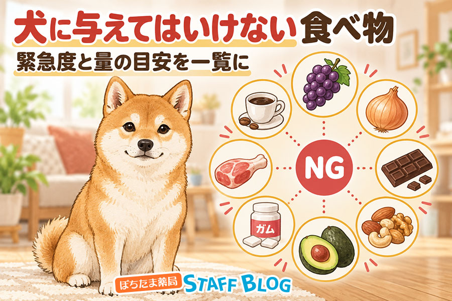 犬に与えてはいけない食べ物|緊急度と量の目安を一覧に