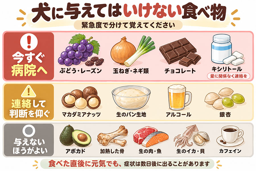 犬に与えてはいけない食べ物を緊急度で3分類。今すぐ病院へ、連絡して判断を仰ぐ、避けたほうがよい