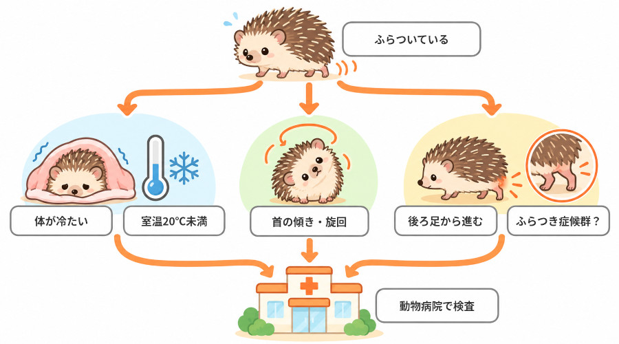 ハリネズミがふらついたときに確認する流れの図