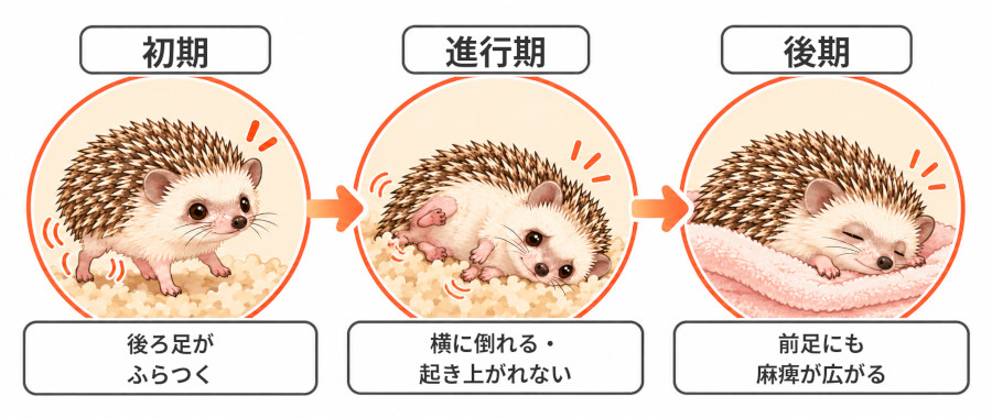 ふらつき症候群の進み方（初期・進行期・後期）の図
