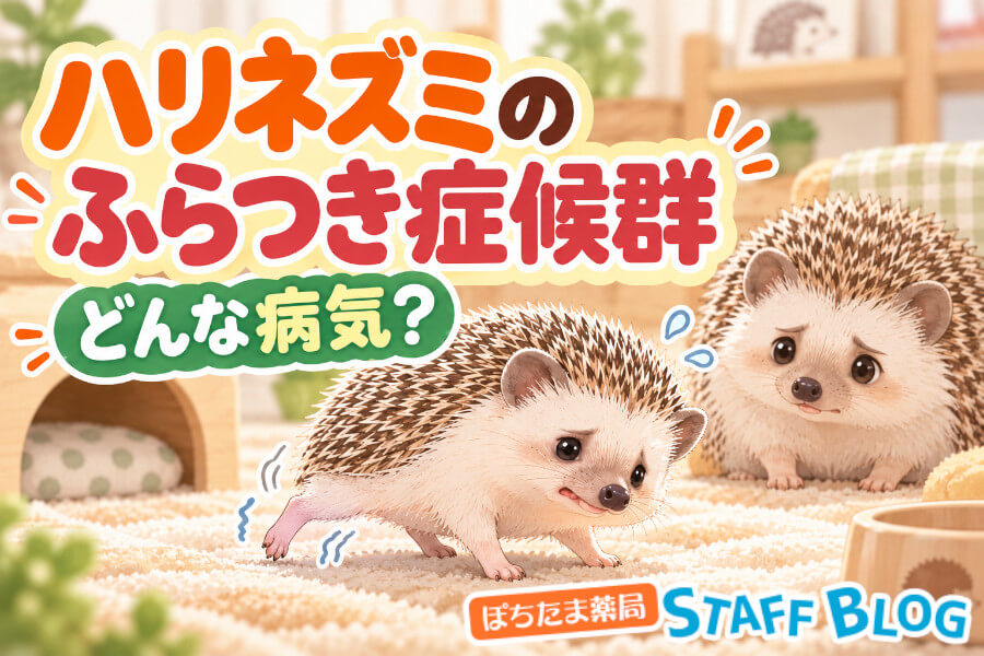 ハリネズミのふらつき症候群とは？初期症状・寿命と低体温との違い