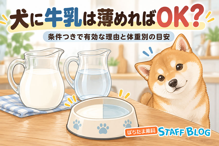 犬に牛乳は薄めればOK？条件つきで有効な理由と体重別の目安