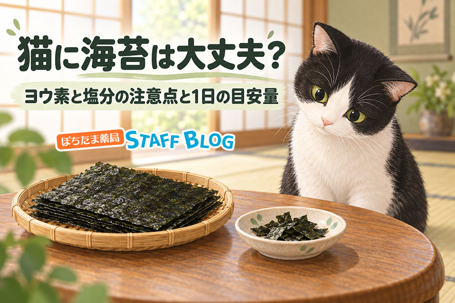 猫に海苔は大丈夫？ヨウ素と塩分の注意点と1日の目安量