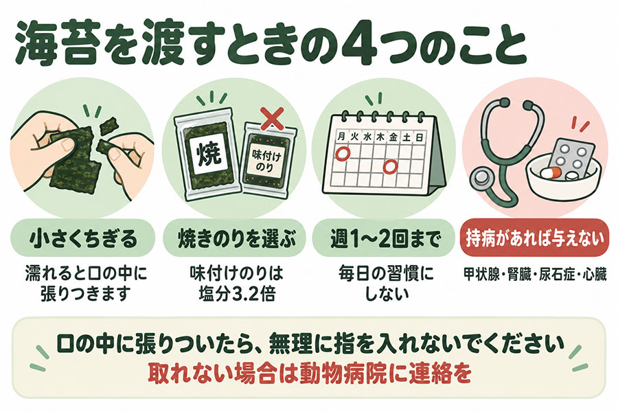 猫に海苔を与えるときの注意点。小さくちぎる、焼きのりを選ぶ、頻度は週1から2回、持病がある猫には与えない