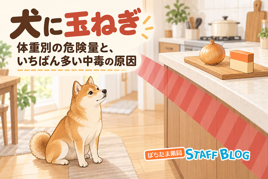 犬に玉ねぎ|体重別の危険量と、いちばん多い中毒の原因