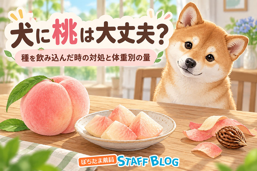 犬に桃は大丈夫？種を飲み込んだ時の対処と体重別の量