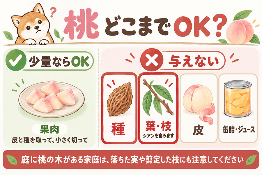 犬に与える桃の部位別の可否。果肉は皮と種を取って小さく切れば与えてよい、種・葉・枝・皮・缶詰は与えない。葉と枝にもシアンが含まれる