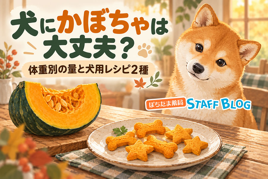 犬にかぼちゃは大丈夫？体重別の量と犬用レシピ2種