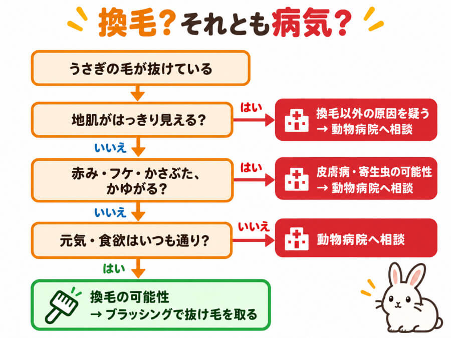 うさぎの抜け毛が換毛か病気かを、地肌・皮膚・しぐさで見分けるチャート