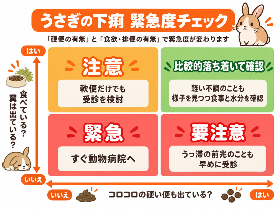 うさぎの下痢は硬便の有無と食欲・排便の有無の2つで緊急度が決まることを示した図