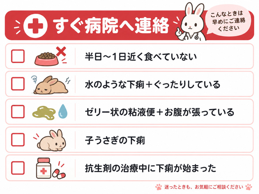 うさぎの下痢ですぐ動物病院に連絡すべき5つのサインをまとめたチェック表