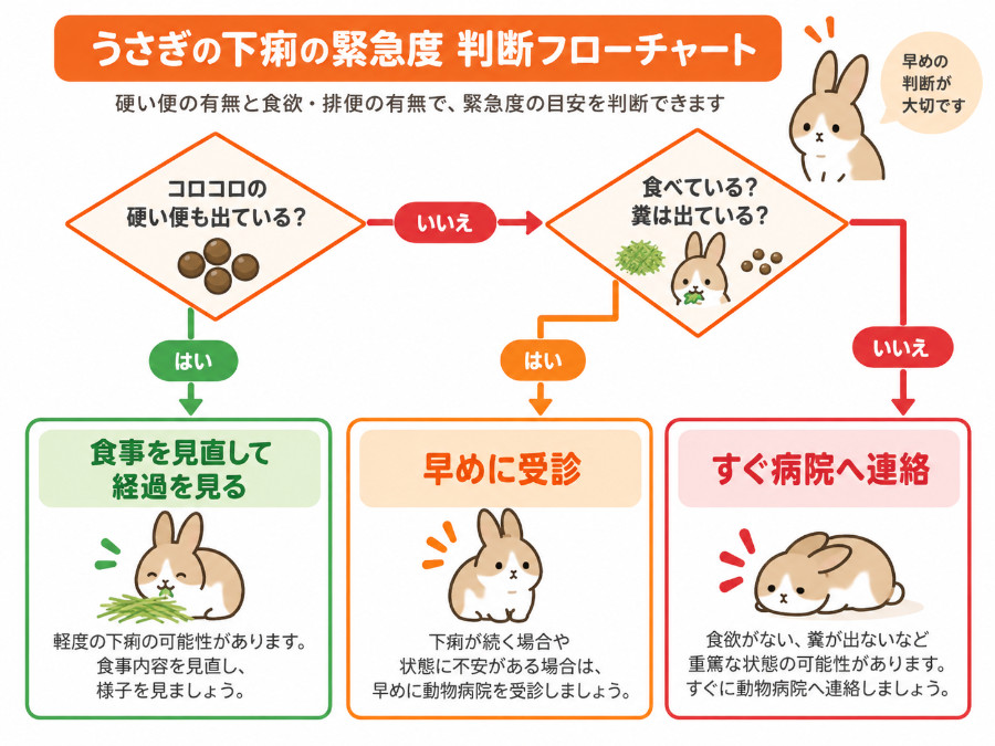 硬便の有無と食欲・排便の有無からうさぎの下痢の緊急度を判断するフローチャート